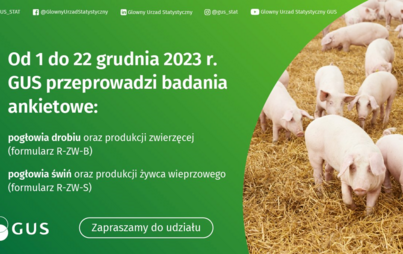 Zdjęcie do Badania statystyczne z zakresu rolnictwa