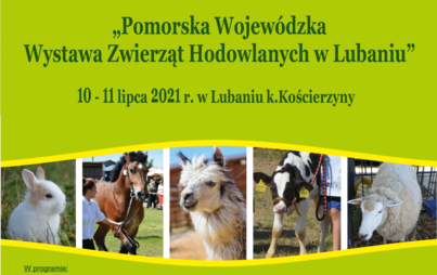 Zdjęcie do Pomorska Wojew&oacute;dzka Wystawa Zwierząt Hodowlanych w Lubaniu
