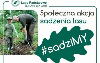 Zdjęcie do Spotkaj się z leśnikami 25 października przy leśnicz&oacute;wce Opalenie i wsp&oacute;lnie posadź las