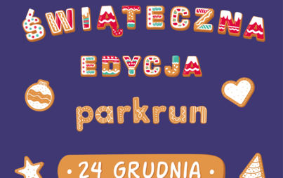 Zdjęcie do Edycja Świąteczna Parkrun Tczew