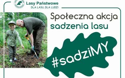Zdjęcie do Spotkaj się z leśnikami 25 października przy leśnicz&oacute;wce Opalenie i wsp&oacute;lnie posadź las